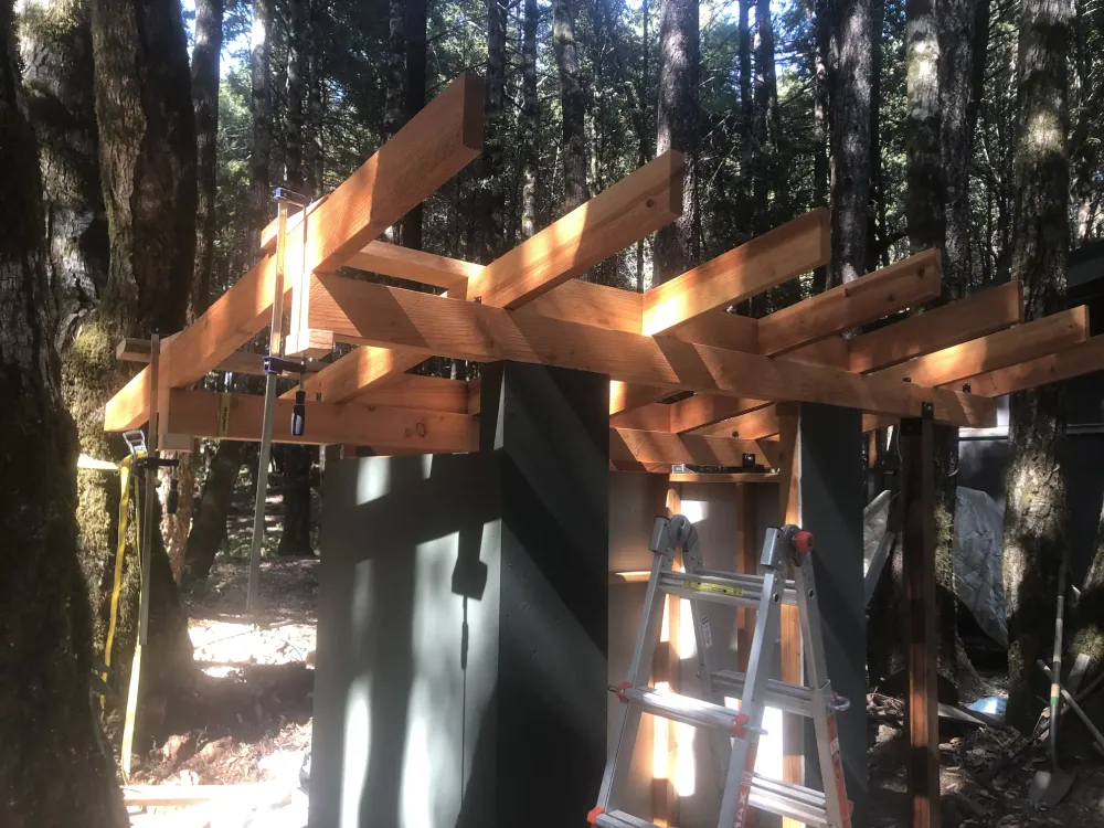 A shed (in the woods) image
